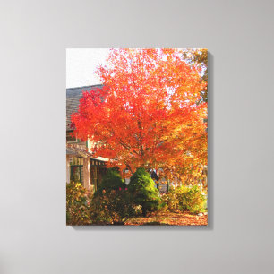 Fall Foliage in Oak Bluffs - Martha's Vineyard Canvastryck