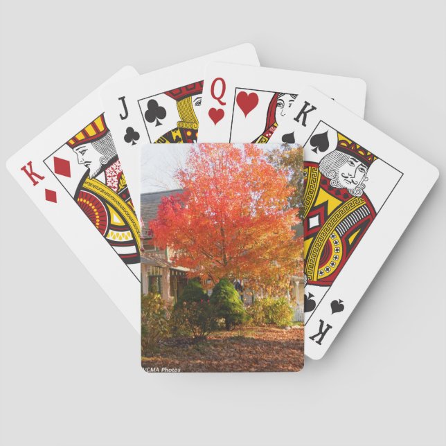 Fall Foliage in Oak Bluffs - Martha's Vineyard Casinokort (Baksidan)