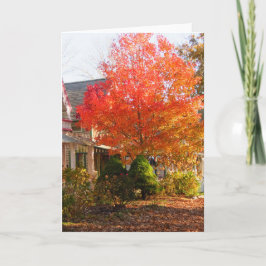 Fall Foliage in Oak Bluffs - Martha's Vineyard Kort