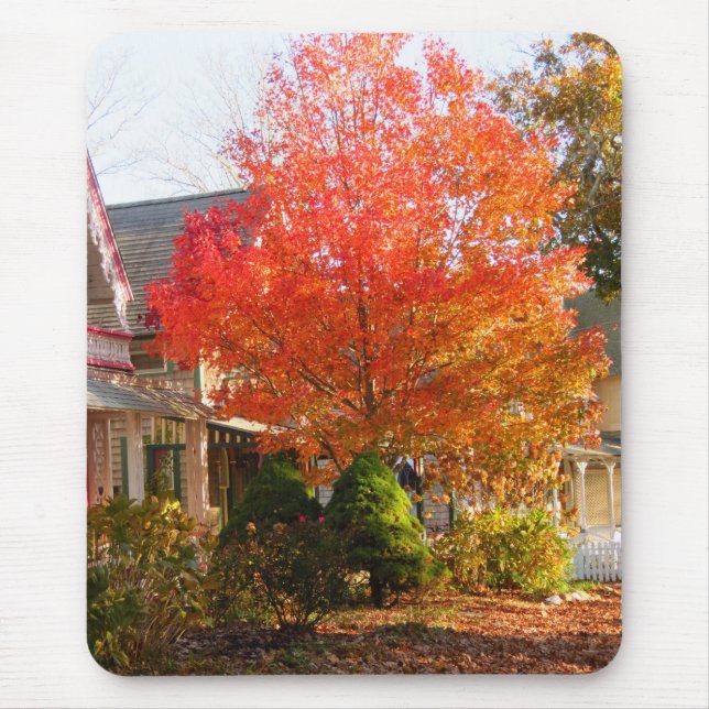 Fall Foliage in Oak Bluffs - Martha's Vineyard Musmatta (Framsidan)