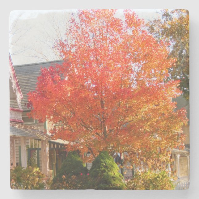 Fall Foliage in Oak Bluffs - Martha's Vineyard Stenunderlägg (Framsidan)