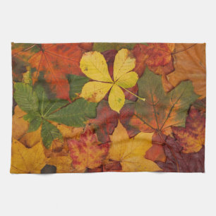 Fall Foliage Kökshandduk