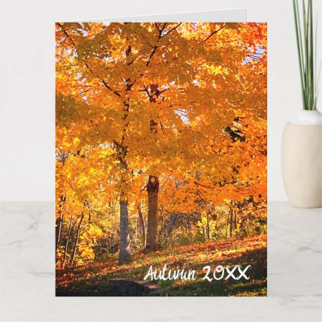 Fall Foliage Kort (Framsida)