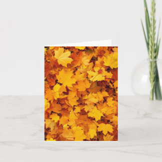 Fall Foliage Kort