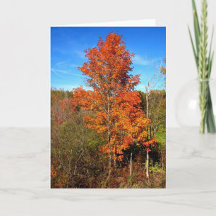 Fall Foliage Kort