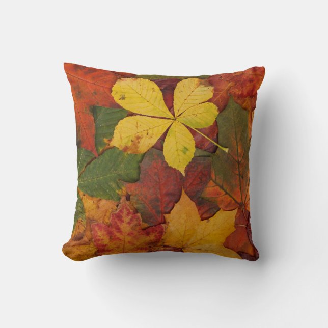 Fall Foliage Kudde (Framsida)