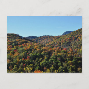 Fall Foliage längs Blue Ridge Parkway, NC Vykort