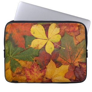 Fall Foliage Laptop Sleeve