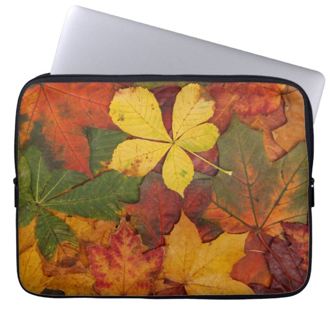 Fall Foliage Laptop Sleeve (Framsidan)