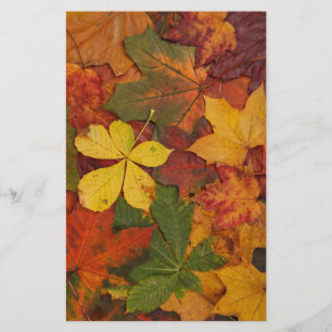 Fall Foliage Löv i Neutralt Färg Brevpapper