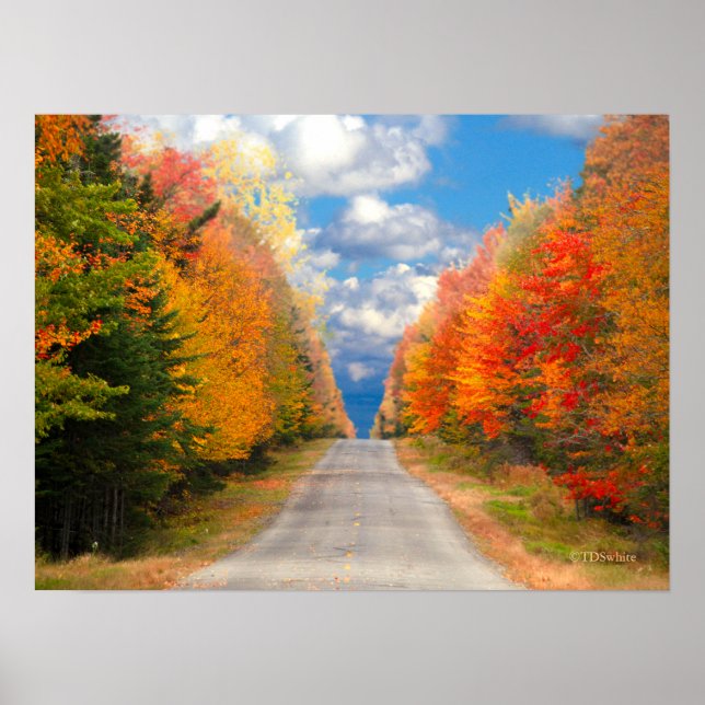Fall Foliage New England Poster (Framsidan)