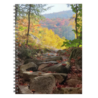 Fall Foliage Notebook Anteckningsbok
