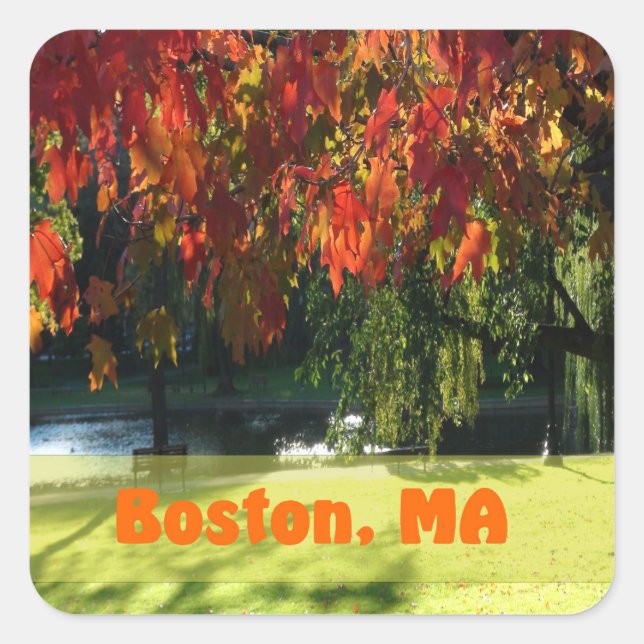 Fall Foliage of Boston Fyrkantigt Klistermärke (Framsida)