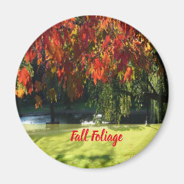 Fall Foliage of Boston Magnet
