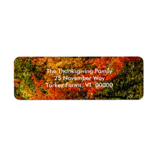 Fall Foliage Photo Returetiketters Returadress Etikett