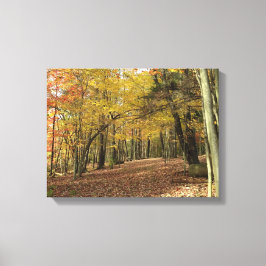 Fall Foliage Photo Serene Autumn Skogen Canvastryck