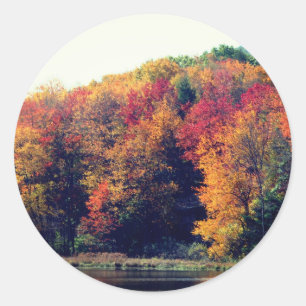 Fall Foliage Pond Natature Runt Klistermärke