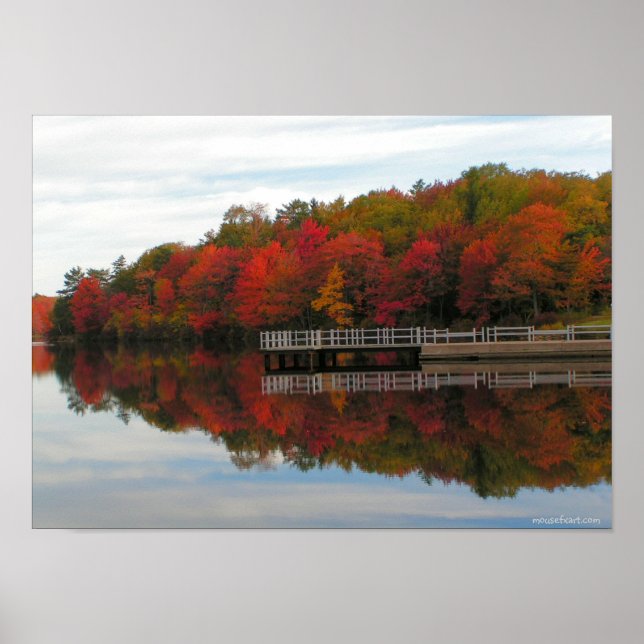 Fall Foliage Print Poster (Framsidan)