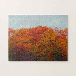 Fall Foliage Pussel