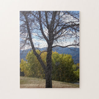 Fall Foliage puzzle Pussel