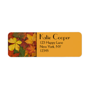 Fall Foliage Returadress Etikett