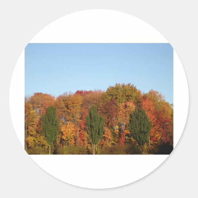 Fall Foliage Runt Klistermärke (Framsida)