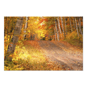 Fall Foliage Rural Road U.P. Michiganfoto Fototryck