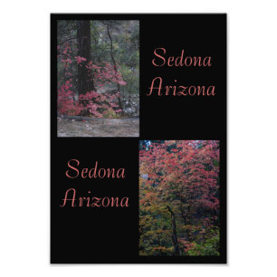 Fall foliage Sedona,Arizona Fototryck