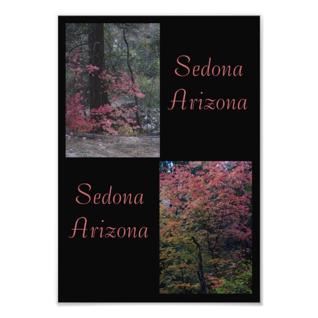 Fall foliage Sedona,Arizona Fototryck (Framsidan)