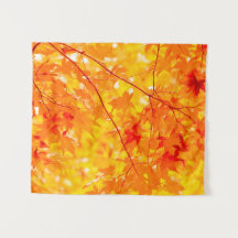 Fall Foliage Träd Nature SMALL