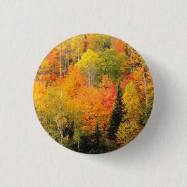 Fall Foliage Valley Knapp
