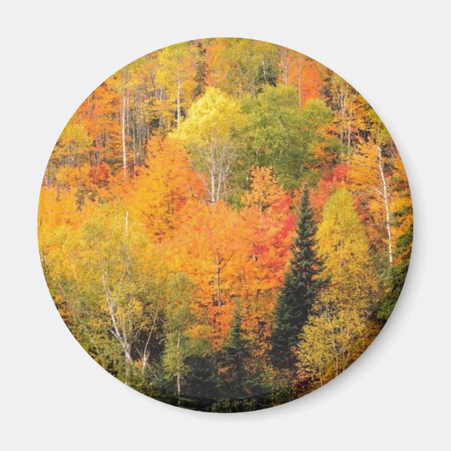 Fall Foliage Valley Magnet (Framsidan)