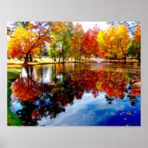 Fall foliage vid dammen poster