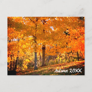 Fall Foliage Vykort