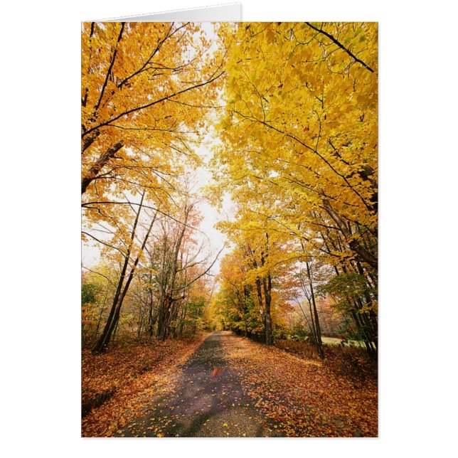 Fall Foliage Walking Väg Hälsningskort (Framsidan)