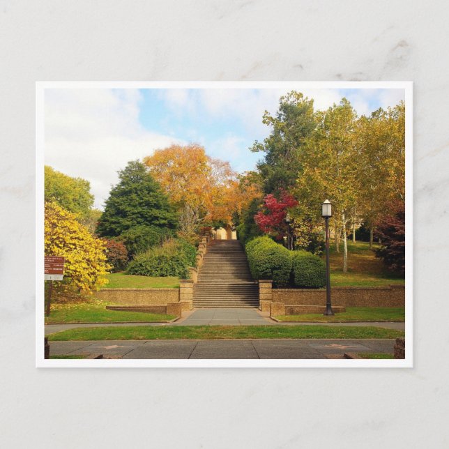 Fall Foliage Washington, D.C. Postcard Vykort (Framsida)