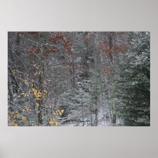Fall före vinter poster
