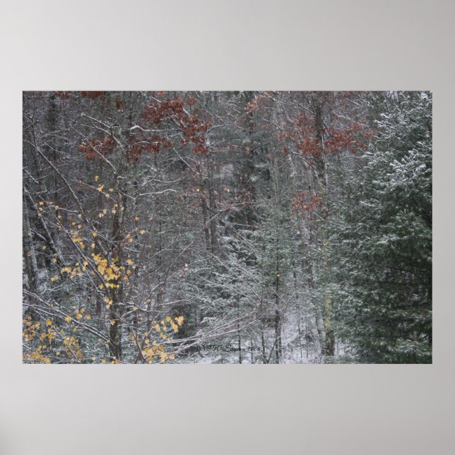 Fall före vinter poster (Framsidan)
