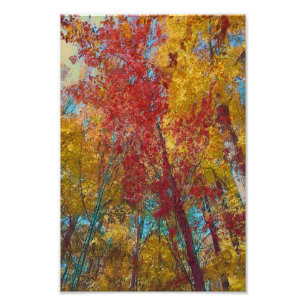 Fall Forest Artwork Fototryck