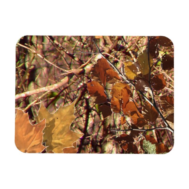 Fall Forest Bush Camouflage Magnet (Horisontell)