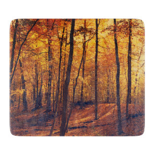 Fall Forest Höst löv Natature Sunlit Träd