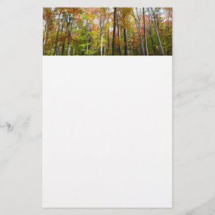 Fall Forest I Landscape Fotography Autumn Brevpapper