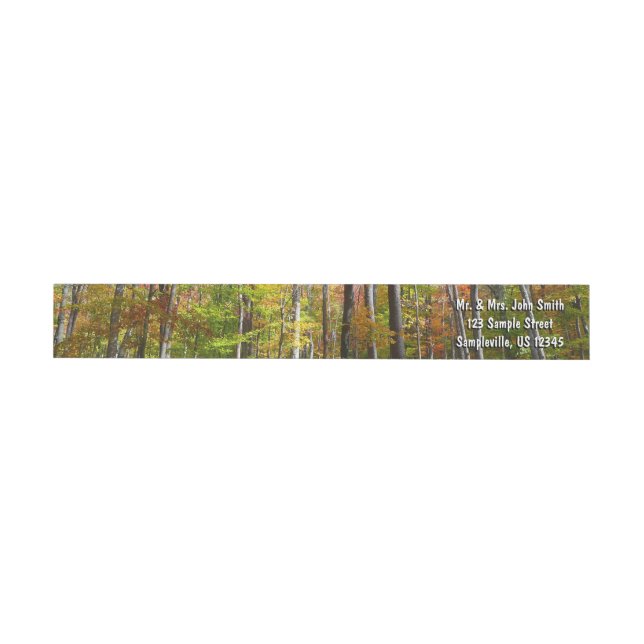 Fall Forest I Landscape Fotography Autumn Etikettband (Individual)