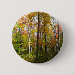 Fall Forest I Landscape Fotography Autumn Knapp