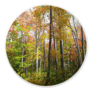 Fall Forest I Landscape Fotography Autumn Knopp
