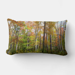 Fall Forest I Landscape Fotography Autumn Lumbarkudde