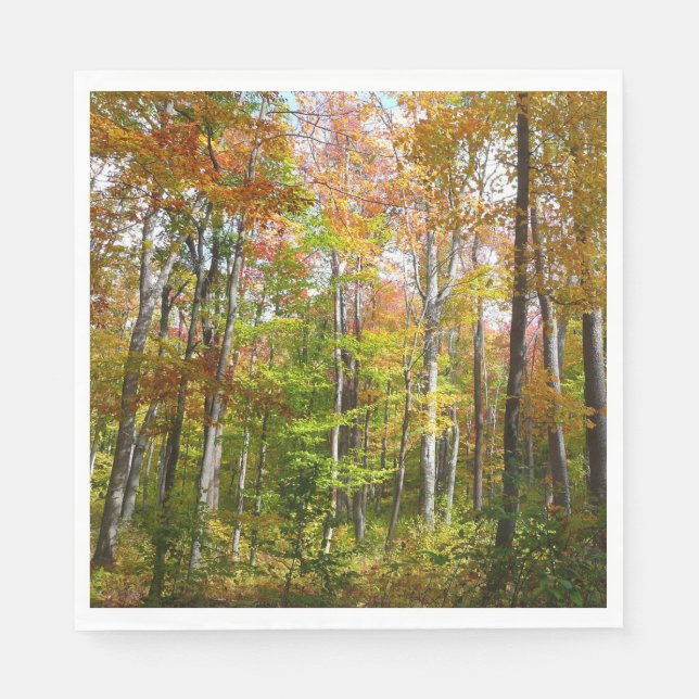Fall Forest I Landscape Fotography Autumn Pappersservett (Framsidan)