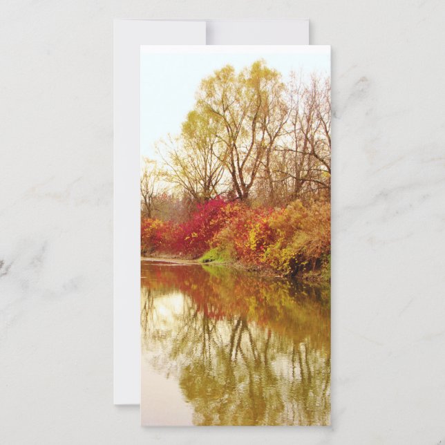 Fall Forest River Scene (Framsida)