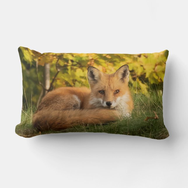 Fall Fox Lumbarkudde (Framsida)