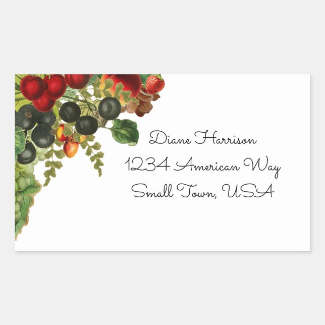 Fall Fruit Stickers Rektangulärt Klistermärke (Framsida)